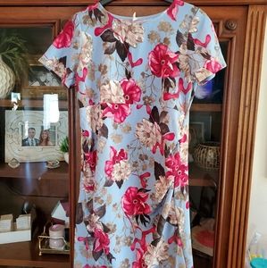 PinkBlush Maternity Dress